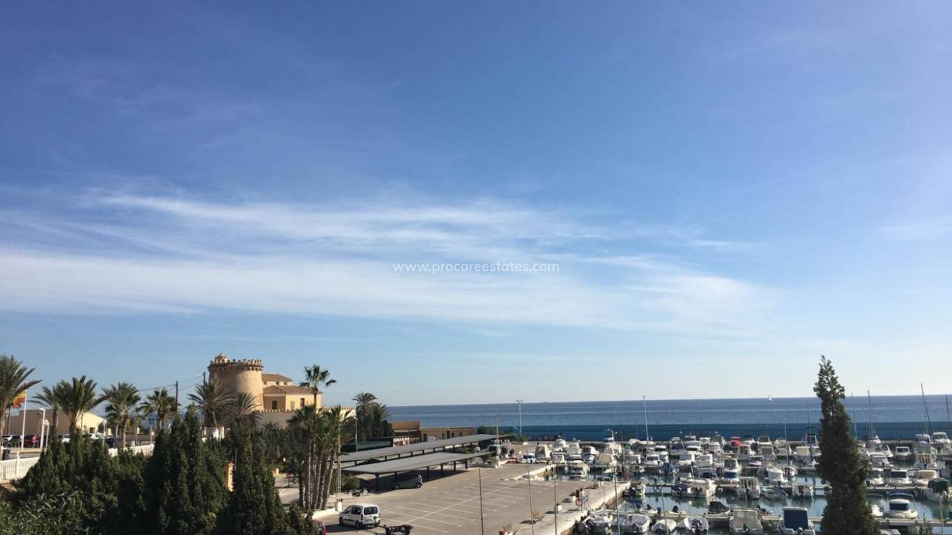 Nueva construcción  - Villa - Pilar de la Horadada - Las Higuericas