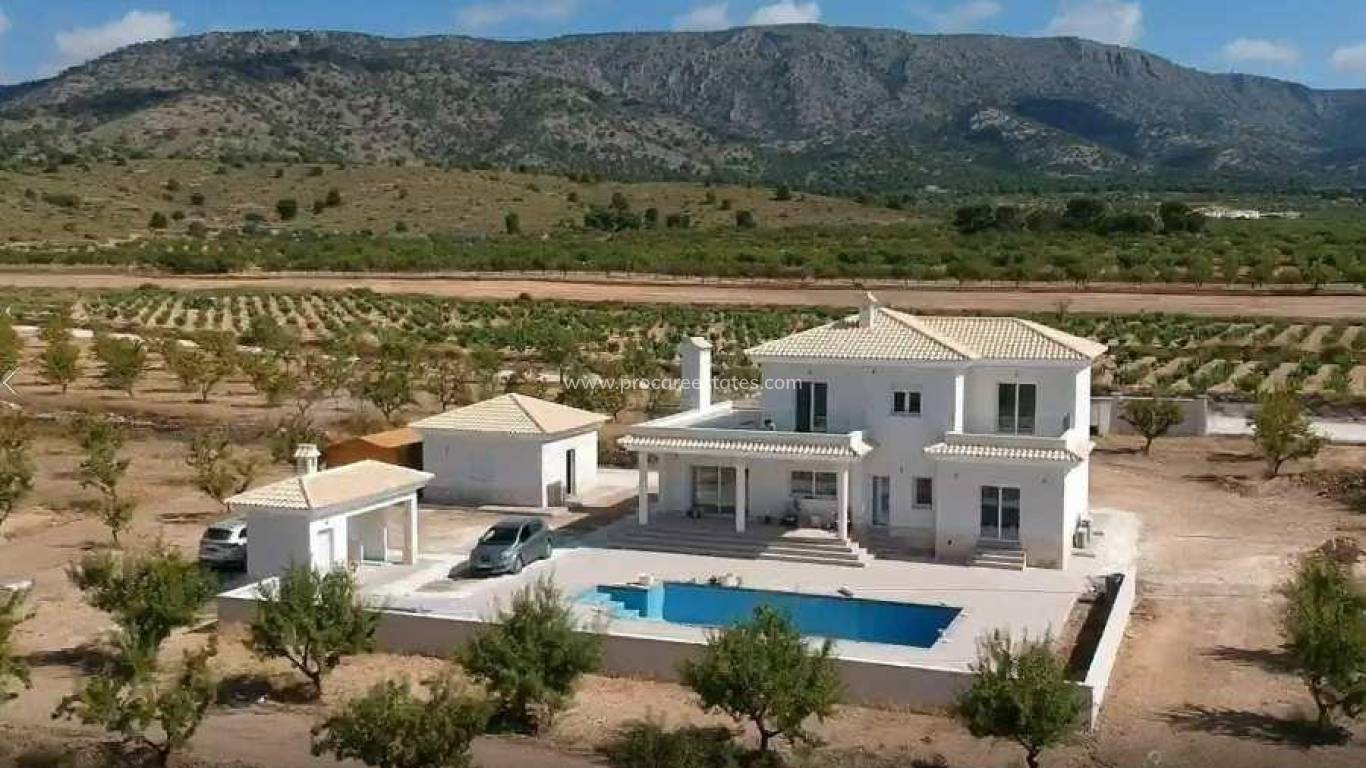 Nueva construcción  - Villa - Pinoso - Camino Del Prado