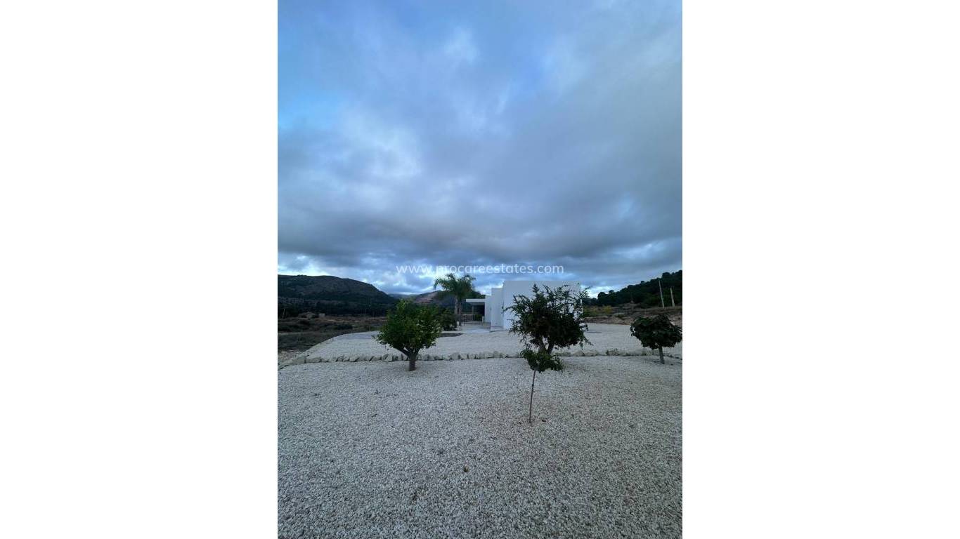 Nueva construcción  - Villa - Pinoso - Casas Pastor