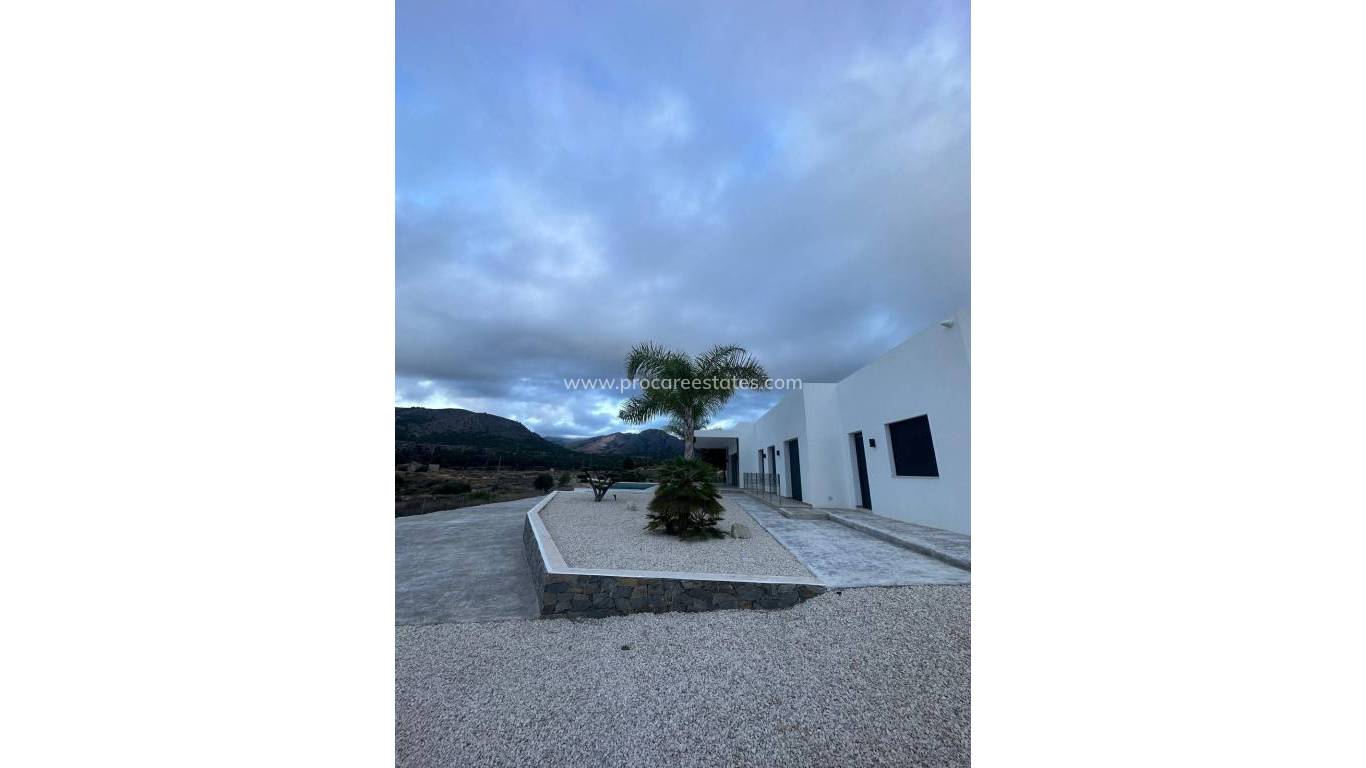 Nueva construcción  - Villa - Pinoso - Casas Pastor