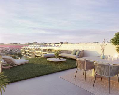 Penthouse - Neubau - Torrevieja - La Hoya