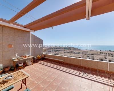 Penthouse - Resale - Guardamar del Segura - Comunidad Valenciana
