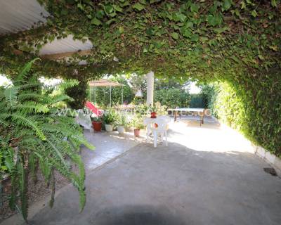 Propiedad de campo - Reventa - Albatera - PCE-1350