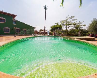 Propiedad de campo - Reventa - Almoradi - Almoradi