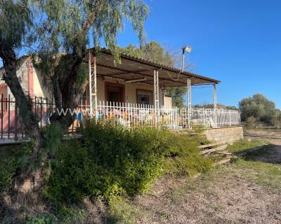 Propiedad de campo - Reventa - Aspe - Aspe