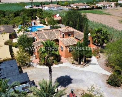 Propiedad de campo - Reventa - Catral - Catral