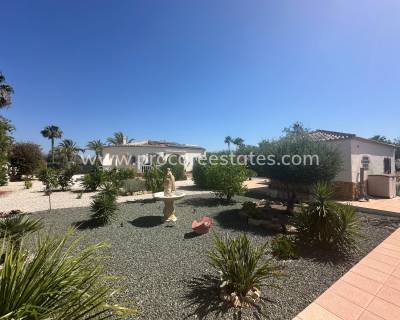 Propiedad de campo - Reventa - Catral - Catral