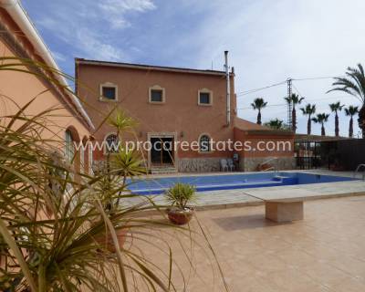 Propiedad de campo - Reventa - Catral - PCE-1338