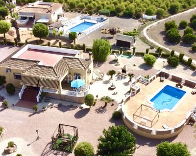 Propiedad de campo - Reventa - Catral - PCE-1346