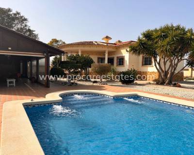 Propiedad de campo - Reventa - Catral - PCE-1358