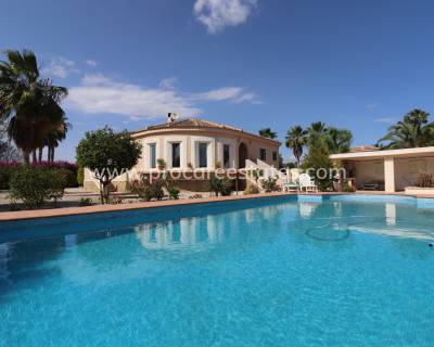 Propiedad de campo - Reventa - Catral - PCE-1378x