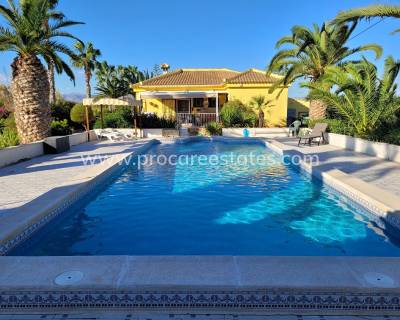 Propiedad de campo - Reventa - Catral - PCM-15152