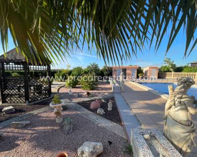 Propiedad de campo - Reventa - Crevillente - Crevillente