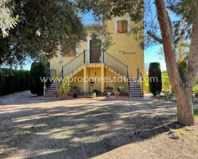 Propiedad de campo - Reventa - Daya Nueva - Daya Nueva