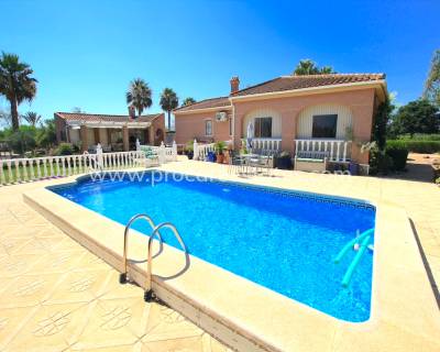 Propiedad de campo - Reventa - Daya Vieja - Daya Vieja