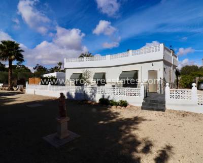 Propiedad de campo - Reventa - El Altet - PCE-1436