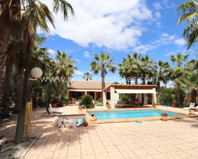 Propiedad de campo - Reventa - Elche - PCE-1326