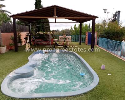 Propiedad de campo - Reventa - Elche - Plaza Madrid