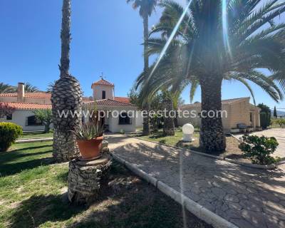 Propiedad de campo - Reventa - Elda - Elda