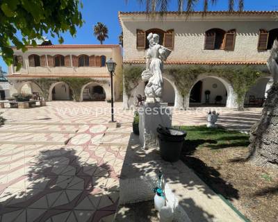Propiedad de campo - Reventa - Elda - Elda