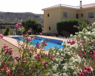 Propiedad de campo - Reventa - Huercal-Overa - PCE-1361C