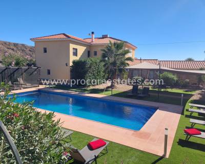 Propiedad de campo - Reventa - Huercal-Overa - PCE-1361del2