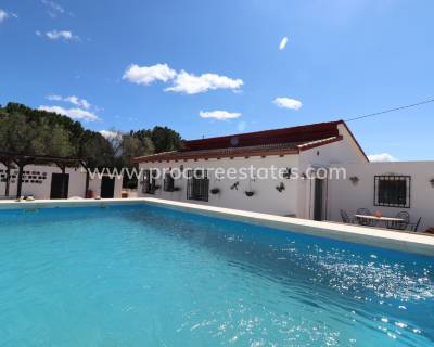 Propiedad de campo - Reventa - Sax - PCE-1322