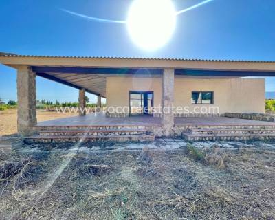 Propriété de campagne - Revente - Elche - Matola