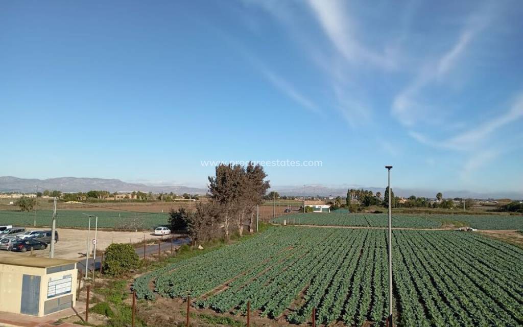 Resale - Apartment - Daya Vieja