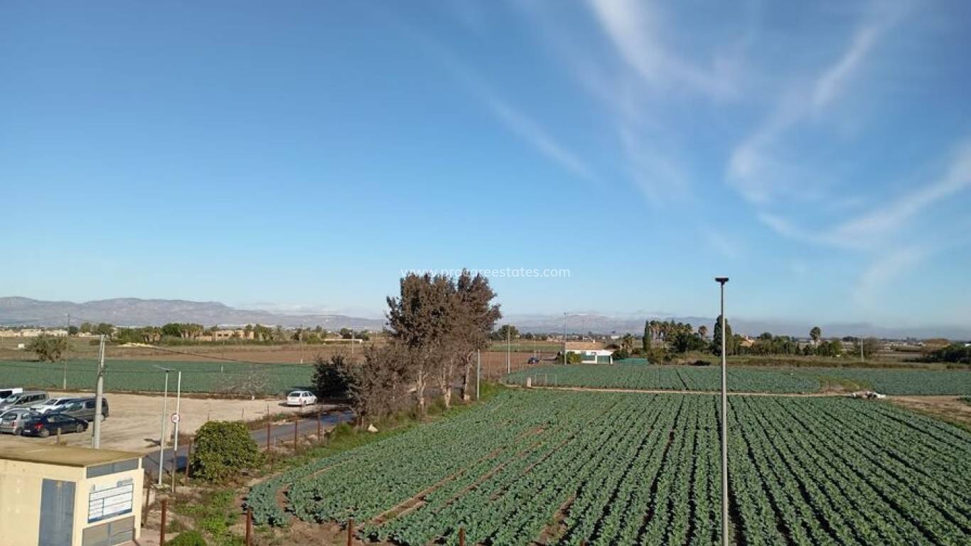 Resale - Apartment - Daya Vieja