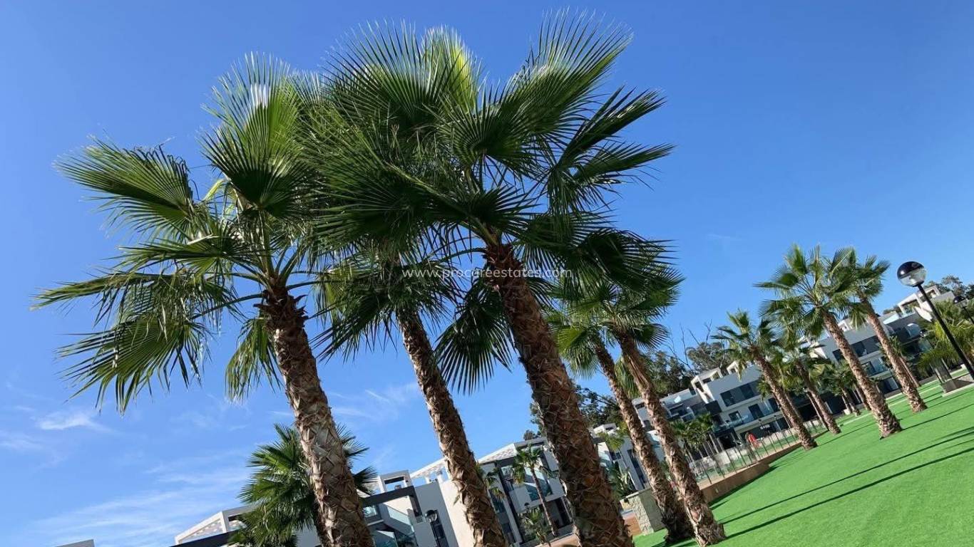 Resale - Apartment - Guardamar del Segura - El Raso