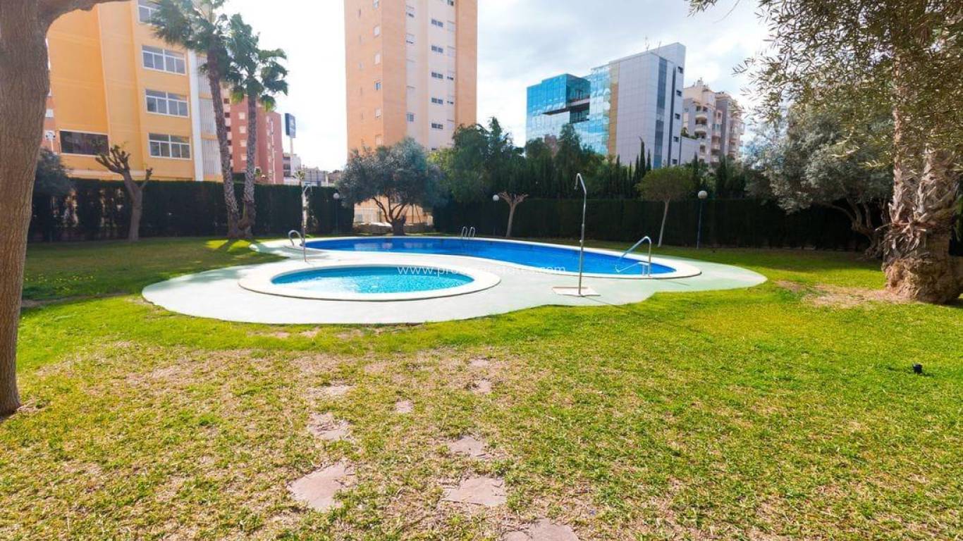 Resale - Apartment - Guardamar del Segura - Guardamar Center