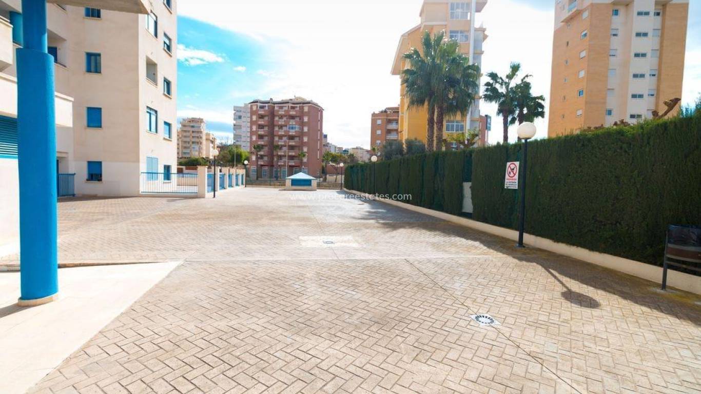 Resale - Apartment - Guardamar del Segura - Guardamar Center