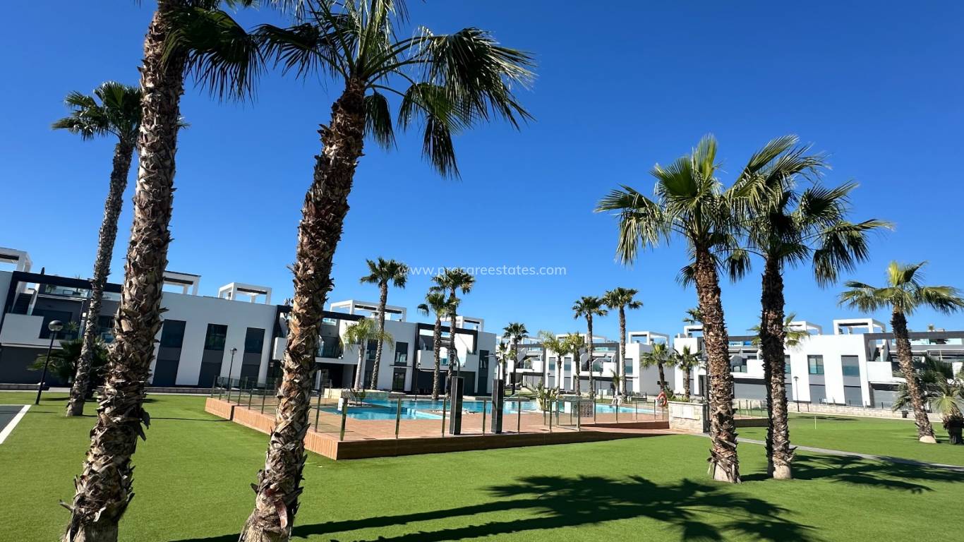 Resale - Apartment - Guardamar del Segura - Guardamar - El Raso