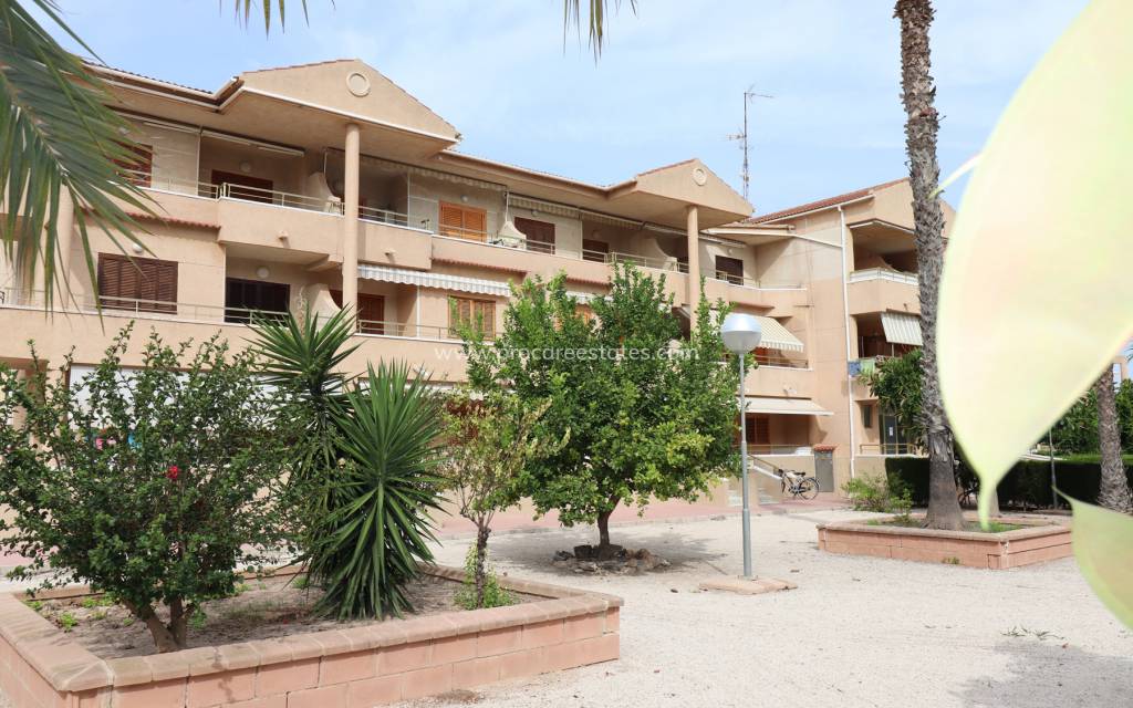 Resale - Apartment - Guardamar del Segura - Pinomar