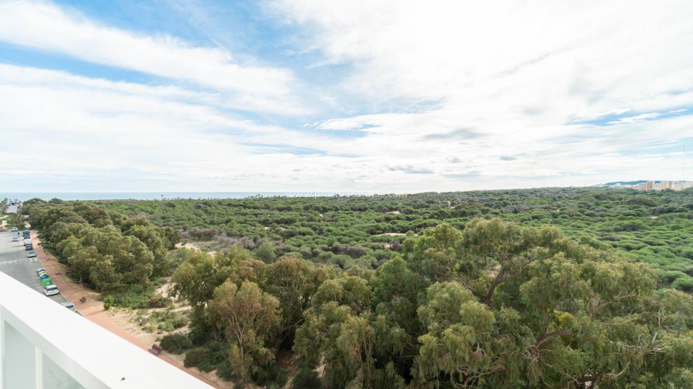 Resale - Apartment - Guardamar del Segura - Puerto Deportivo