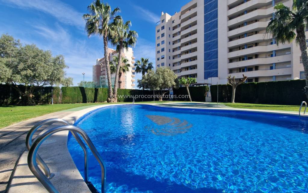Resale - Apartment - Guardamar del Segura - Puerto