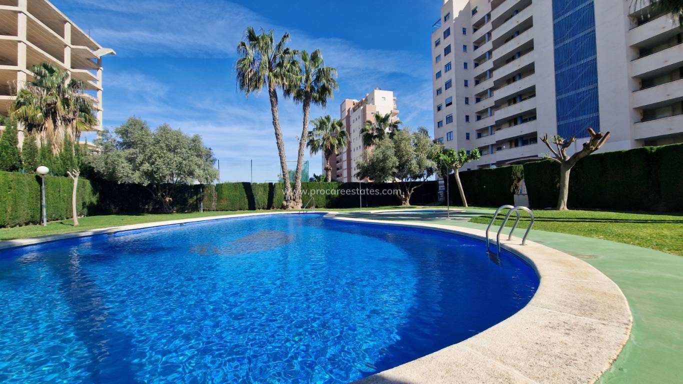 Resale - Apartment - Guardamar del Segura - Puerto
