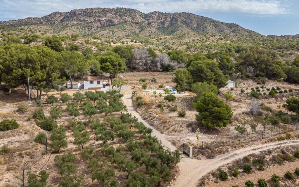 Resale - Apartment - LA TERCIA - La Tercia