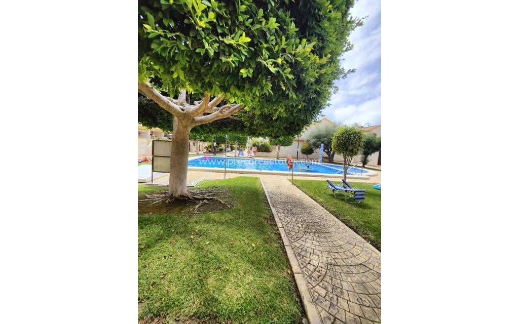 Resale - Apartment - Orihuela Costa - Campoamor