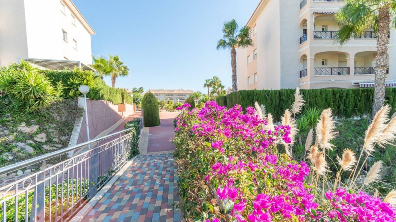 Resale - Apartment - Orihuela Costa - Playa Flamenca