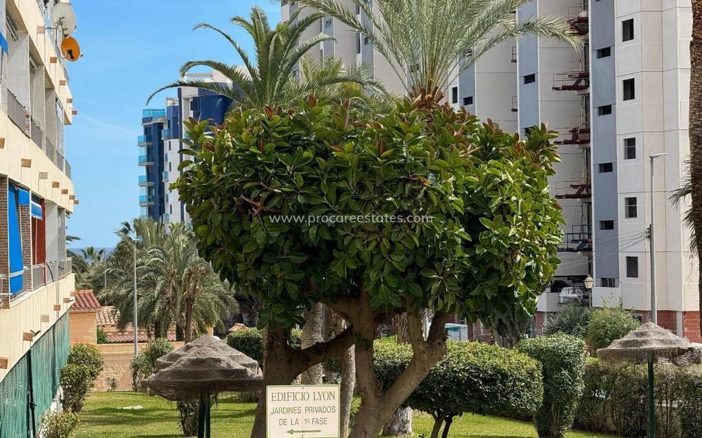 Resale - Apartment - Orihuela Costa - Punta Prima