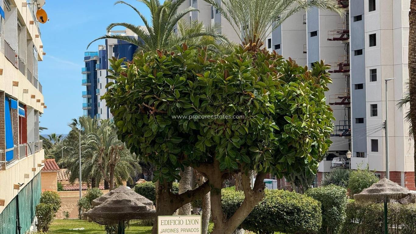 Resale - Apartment - Orihuela Costa - Punta Prima