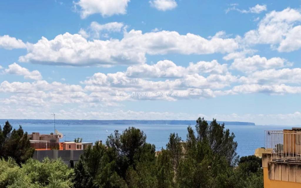 Resale - Apartment - Palma - Sant Agustí