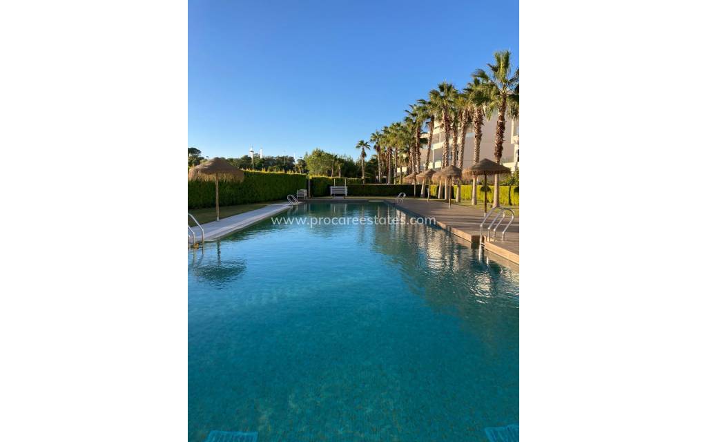 Resale - Apartment - San Miguel de Salinas - Las Colinas