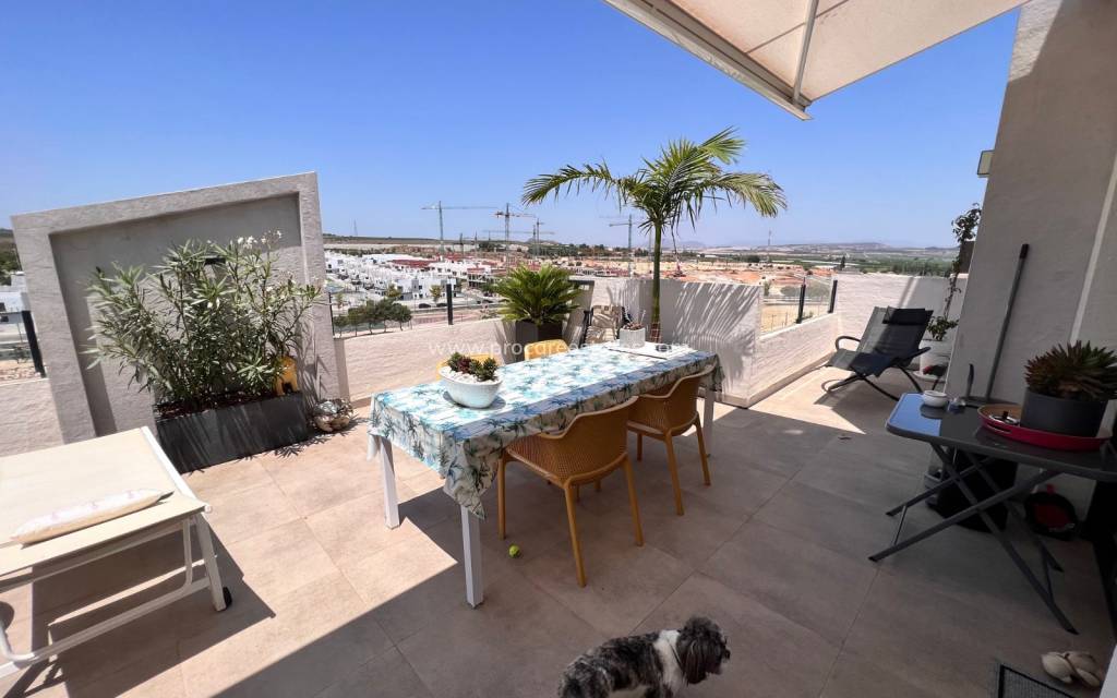 Resale - Apartment - San Miguel de Salinas