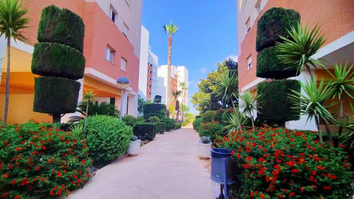 Resale - Apartment - Torrevieja - Acequion