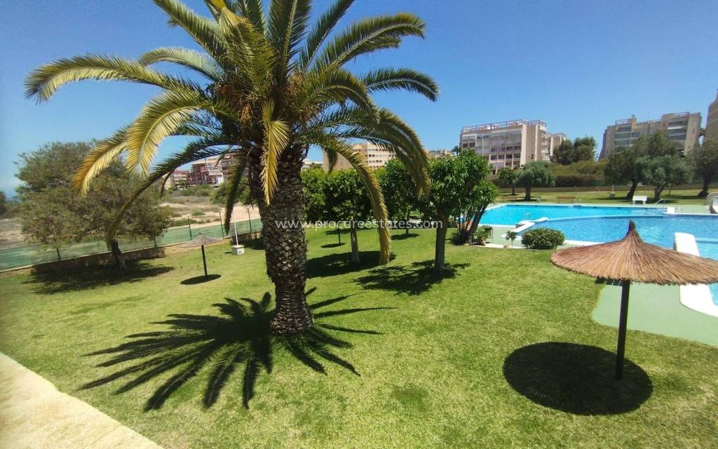 Resale - Apartment - Torrevieja - Cabo Cervera