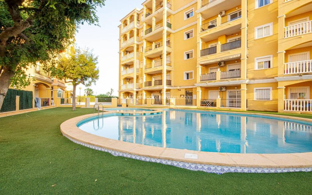 Resale - Apartment - Torrevieja - Cabo Cervera