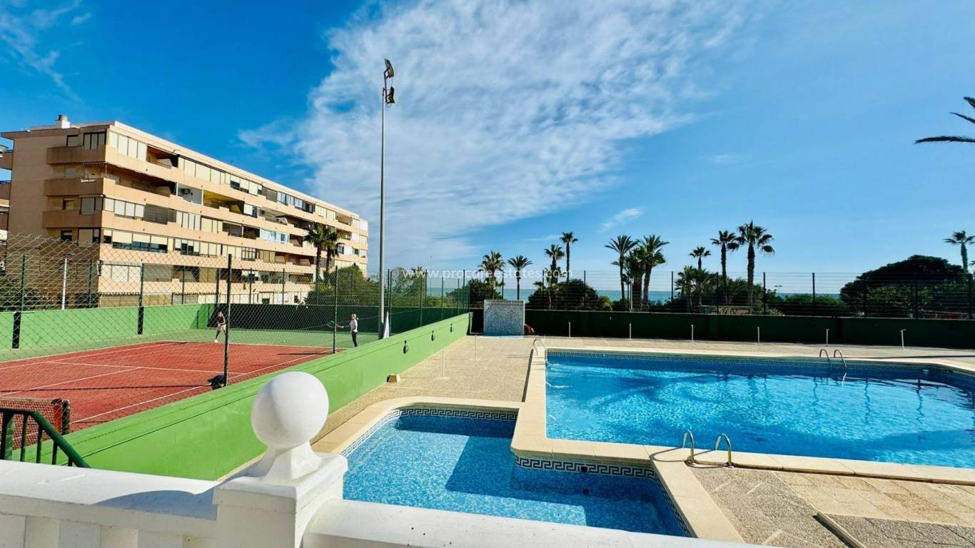 Resale - Apartment - Torrevieja - Cabo Cervera